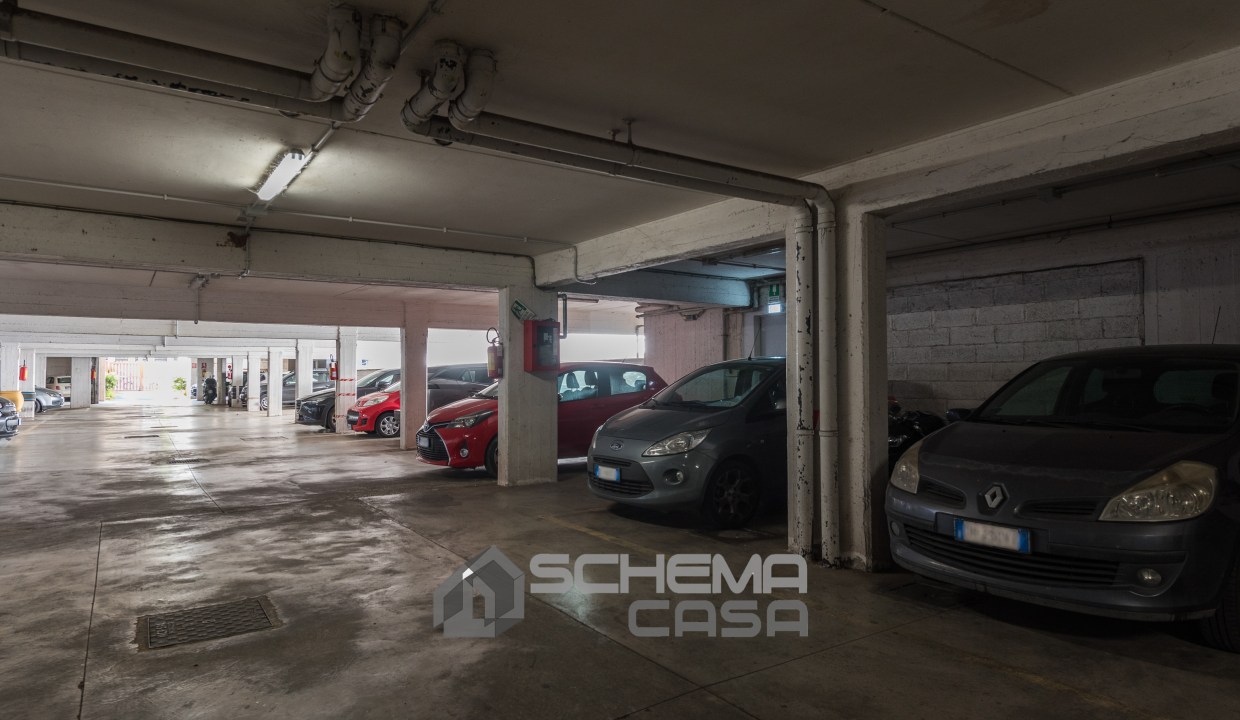26-DSC_3113