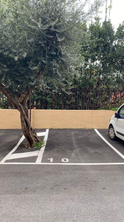 PHOTO-2025-01-31-11-29-13