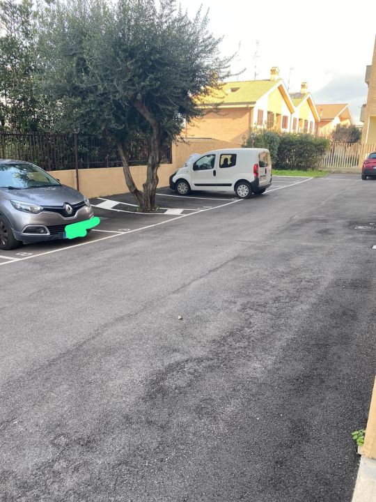 PHOTO-2025-02-01-11-19-52